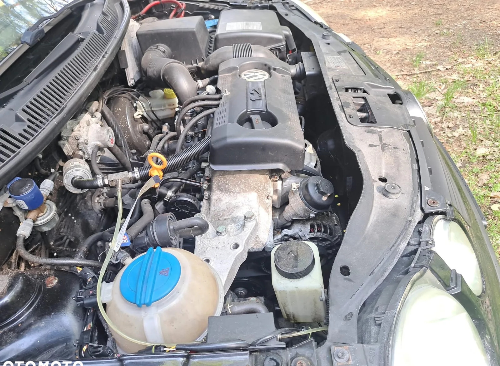 Volkswagen Polo cena 6111 przebieg: 200880, rok produkcji 2004 z Trzcianka małe 407